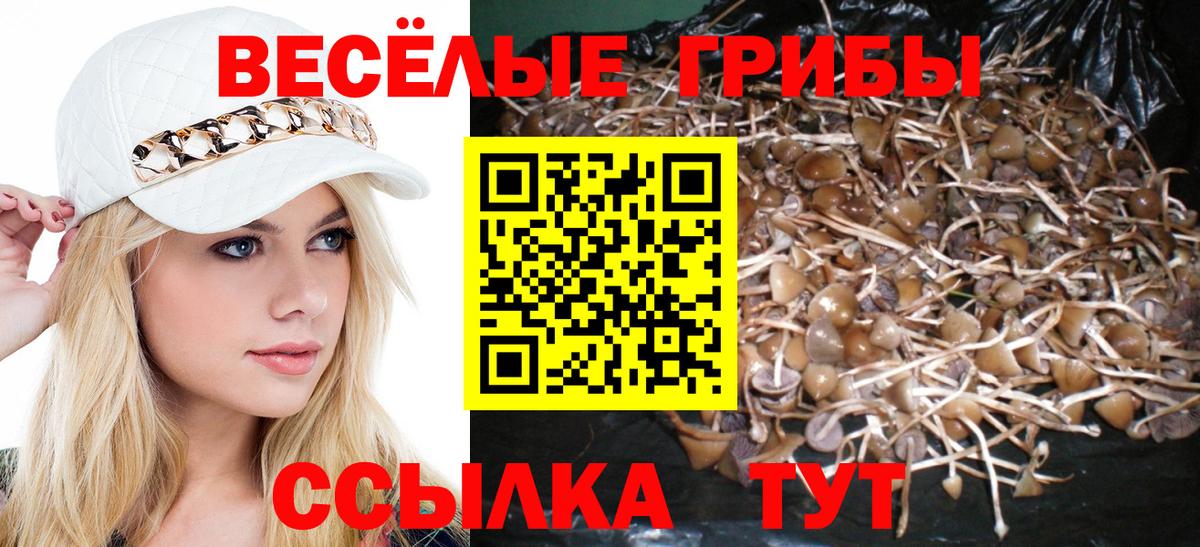 где можно купить   Псилоцибиновые грибы Cubensis  Коряжма  Вход с VPN  Галлюциногенные грибы GOLDEN TEACHER 