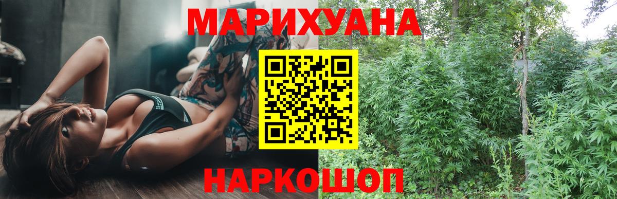 Каннабис планчик Коряжма